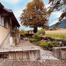 Chateau Birch House side exterior with mountain view