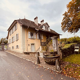 Chateau Birch House side exterior