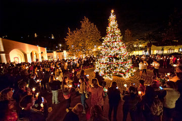 people gathered around a lit Christmas tree at night