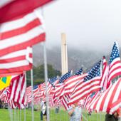 Waves of Flags 